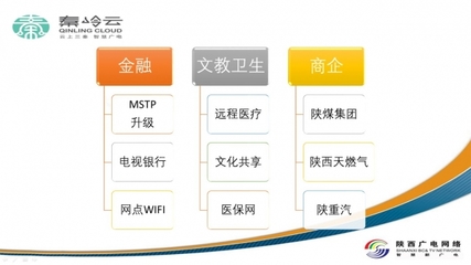 陜西廣電網(wǎng)絡(luò)集客業(yè)務(wù)百花齊放 專網(wǎng)專線、信息化集成與電視門戶的多元發(fā)展