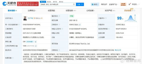 億咖通湖北公司完成大幅增資，加速互聯網技術開發布局